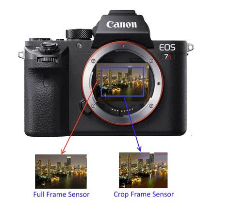 Full Frame vs Crop Sensor – Which To Choose