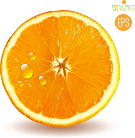 Orange slice free vector download (2,417 Free vector) for commercial use. format: ai, eps, cdr ...