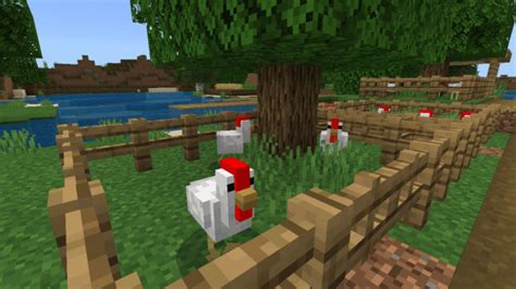 Better Chickens Texture Pack | Minecraft PE Bedrock Texture Packs