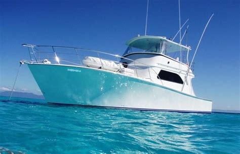 Whale Watching Tours Cairns - Private Charter Boat