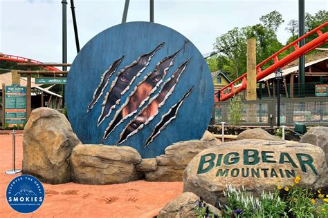 Dollywood’s Big Bear Mountain: An Honest Review - Discover the Great ...