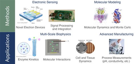 Electronic Biophysical Measurements | NIST