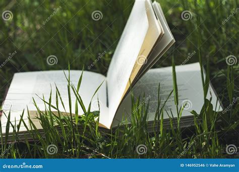 Book on green grass stock photo. Image of books, background - 146952546