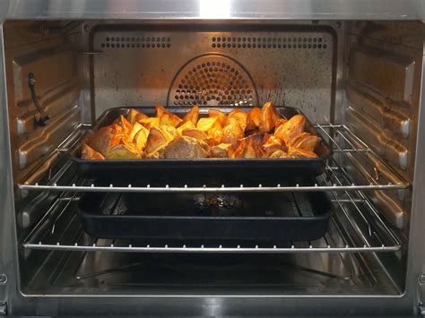 Anova Precision Oven Review