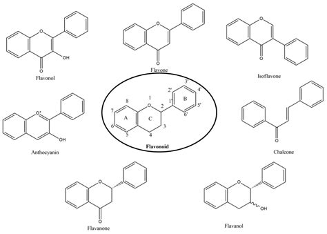 Molecules | Free Full-Text | Flavonoids as Potential Anti-Inflammatory ...