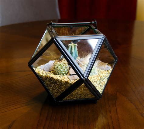 Mini Cactus Terrarium Kit - Gorgeous Geometric Design, UK, Cactus Gift – The Art of Succulents