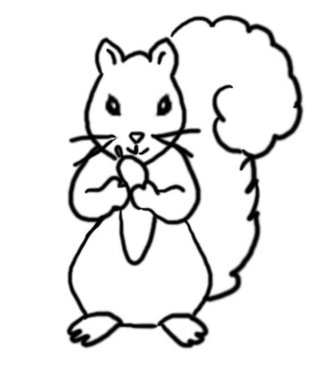 Free Squirrel Patterns | autumn activities for | Squirrel coloring page