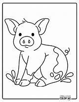 Pig Coloring Pages Free PDF Printables  Simply Love Coloring sketch template