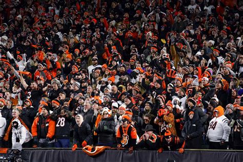 Why are you a Bengals fan? Tell us your story - cleveland.com