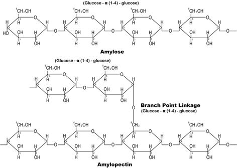 The Effect of Cassava Starch on the Durability Characteristics of Concrete