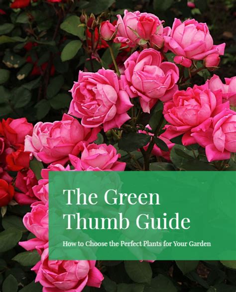 The Green Thumb Guide: How to Choose the Perfect Plants for Your Garden