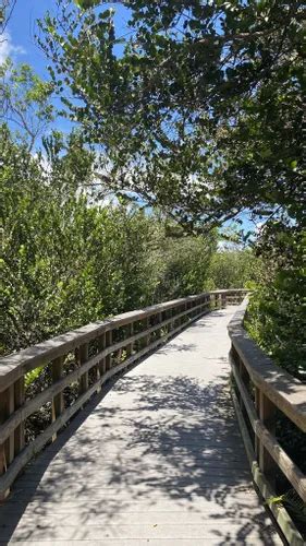 10 Best Hikes and Trails in Everglades National Park | AllTrails