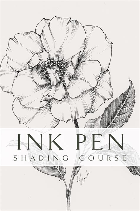 Ink Pen Shading | Video Tutorial Course — Katrina Crouch | Blushed Design