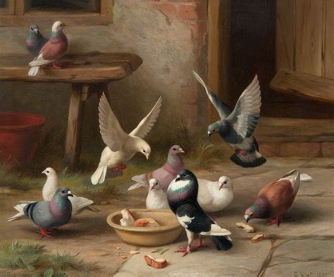 Pigeons Feeding | Art UK | Painting, Birds painting, Art painting