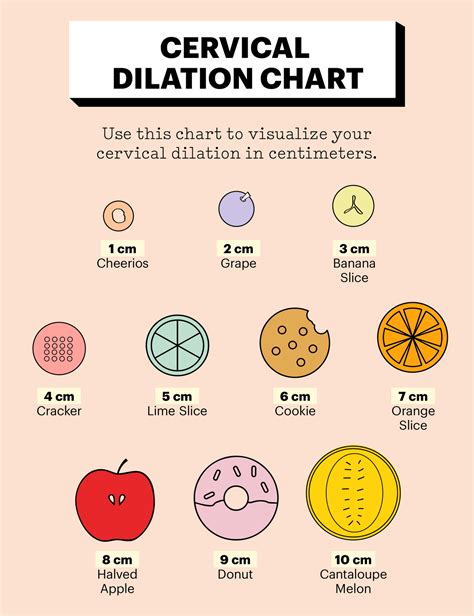 Cervix Dilation Chart: The Stages of Labor Explained in Pictures Nurse Study Notes, Nursing ...