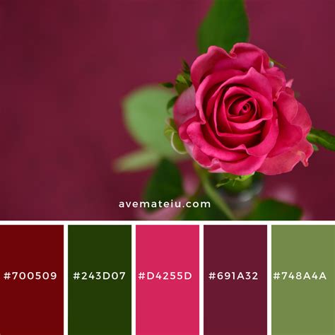 Red rose close up Color Palette 8 - Ave Mateiu