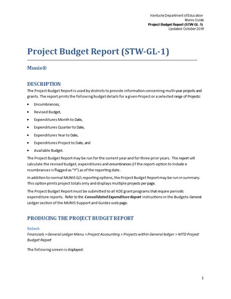 Project Budget Report - How to create a Project Budget Report? Download ...