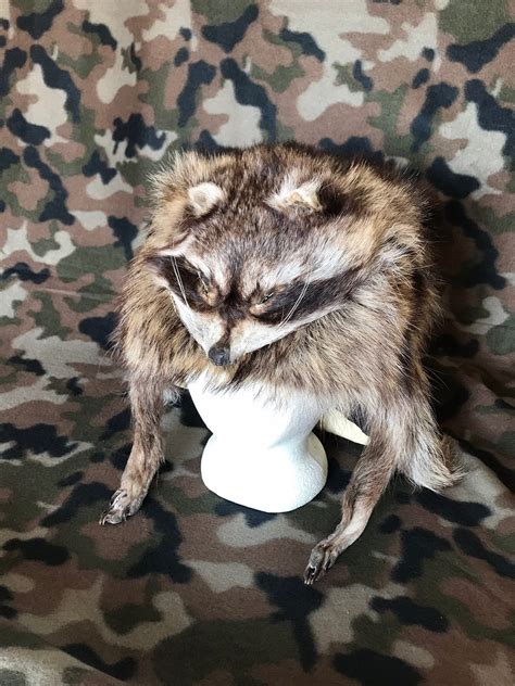 Raccoon hat | Etsy