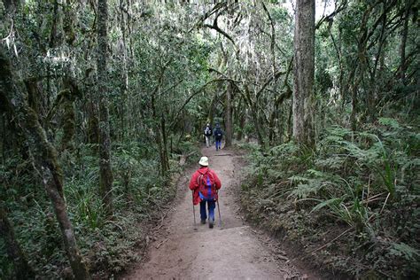 Mount Meru Climbing 3 Days - Jaribu Africa Adventures