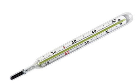 Fake thermometers seized amid meningitis fears | Society | The Guardian