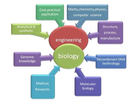 Bioengineering custom microbes, genetic engineering,bioremediation,bi…