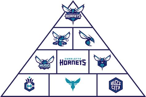 When You See The Charlotte Hornets Logo Pyramid You May Want To Create ...