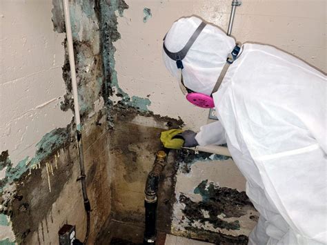 Professional Mold Removal Services in Ontario and Quebec | MoldInspection.ca