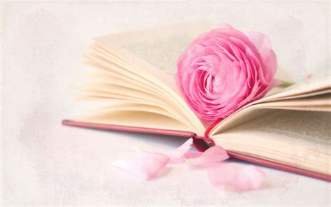 Book Full HD Wallpaper and Background Image | 1920x1200 | ID:376055