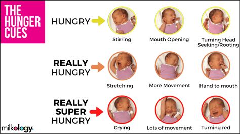 11 Breastfeeding Infographics You Should See — Milkology®