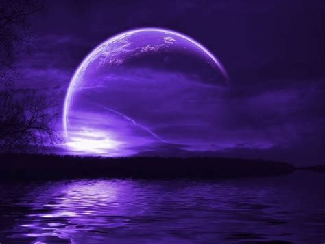 Purple Nature Wallpapers and Screensavers - WallpaperSafari