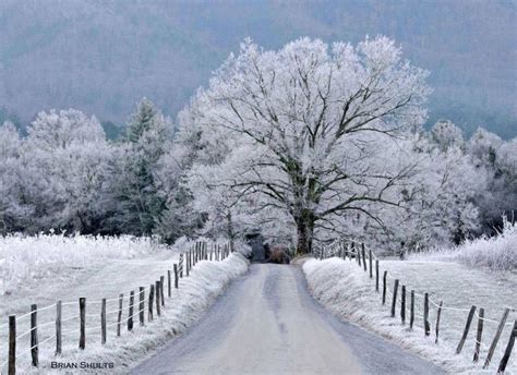 Winter Road Trip | Smoky mountain national park, Great smoky mountains ...