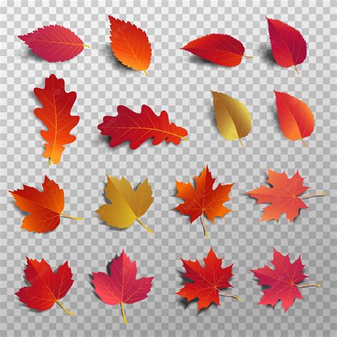 Premium Vector | Red leaf with shadow isolated