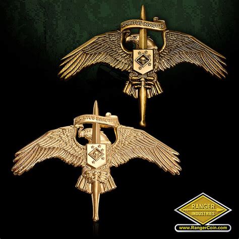 MARSOC Badges | Custom challenge coins, Best logo design, Cool logo