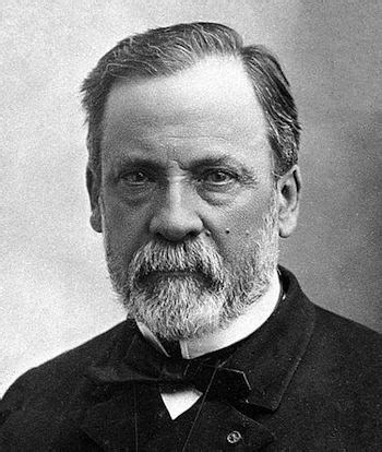 Who is Louis Pasteur? - Biography, Quotes & Timeline | Study.com