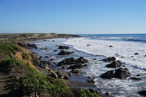 California Highway 1 Stories: Hearst Castle and Elephant Seals - Her Travel Edit