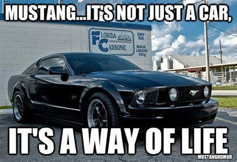 Mustang | Muscle cars mustang, Mustang cars, Mustang