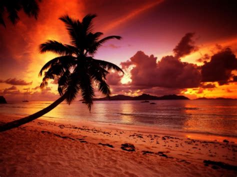 tropical paradise sunset 6408 hd wallpapers (With images) | Sunset wallpaper, Sunrise sunset ...