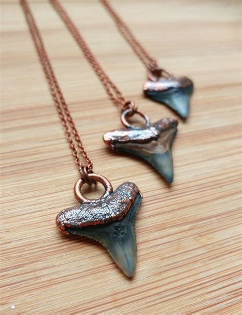 Fossilized Shark Tooth Pendant | Gem and Pebble