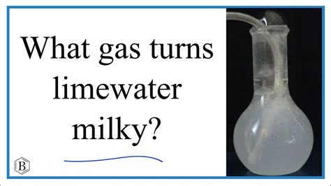 Which gas turns limewater milky? - YouTube