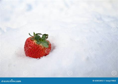 Fresh Strawberry on the Snow Stock Image - Image of healthy, delicious: 65853853