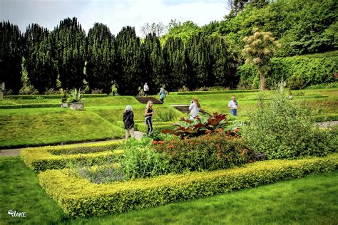 Castle Ward Gardens Photograph by Jake Steele - Pixels