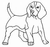 Beagle Coloring Pages  Free Printable For Kids sketch template