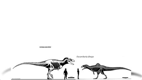 Eocarcharia And Lythronax Size Comparison - YouTube