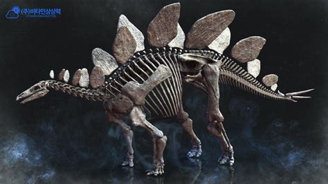 ArtStation - Stegosaurus Skeleton, Vitamin Imagination | Dinosaur skeleton, Ancient fish ...