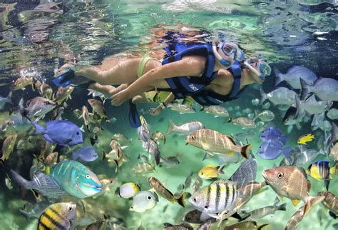 Snorkeling In Punta Cana: Super 1 Thing You Must To Do