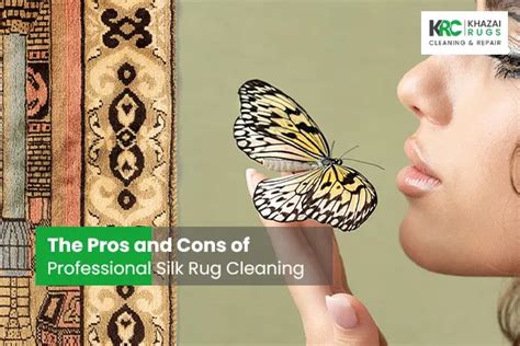 The Pros and Cons of Professional Silk Rug Cleaning