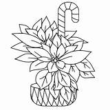 Poinsettia With Candy Cane Coloring Page  Free Printable sketch template
