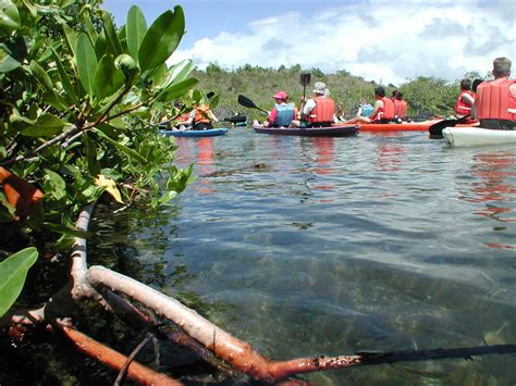 Antigua Kayaking with Snorkelling and Hiking Tour