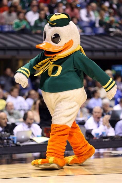 THE OREGON DUCK - BEST COLLEGE BASKETBALL MASCOT 2015! BEST COLLEGE BASKETBALL MASCOTS MAR 24 ...