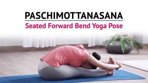 Paschimottanasana | Seated Forward Bend Yoga Pose | Steps | Benefits | Yogic Fitness - YouTube